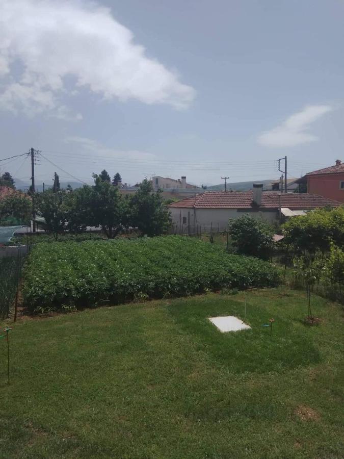 Dream House Ioannina Apartment Екстериор снимка