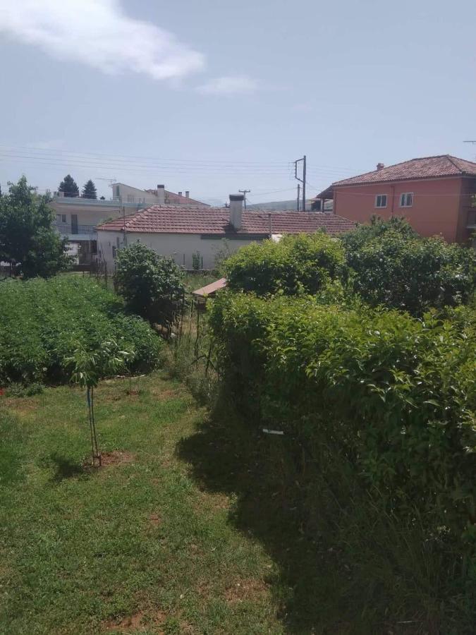 Dream House Ioannina Apartment Екстериор снимка